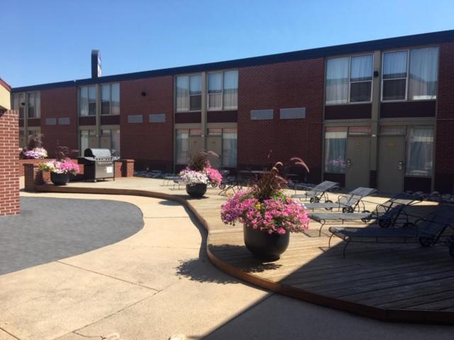 Boarders Inn & Suites By Cobblestone Hotels - Grand Island Exterior foto